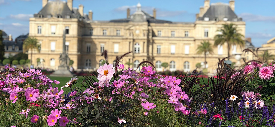 stroll-around-jardin-de-luxembourg