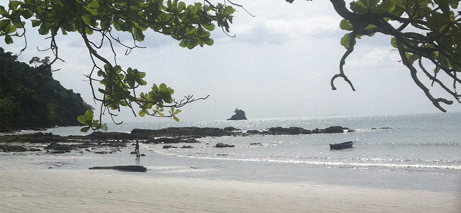 beautiful beach in koh phayam