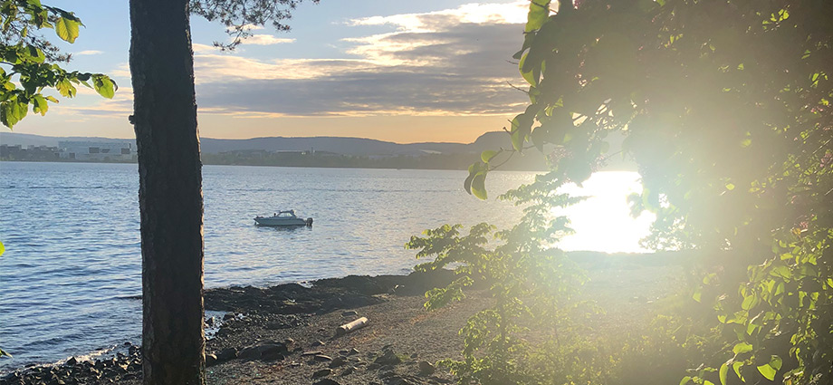 city-life-things-to-do-in-oslo-green-electric-boats